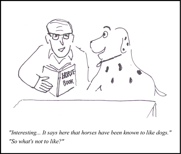 Dogs