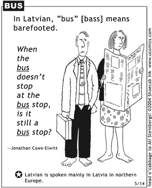 bus