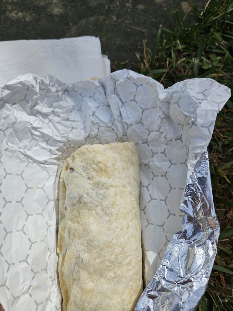 falafel wrap